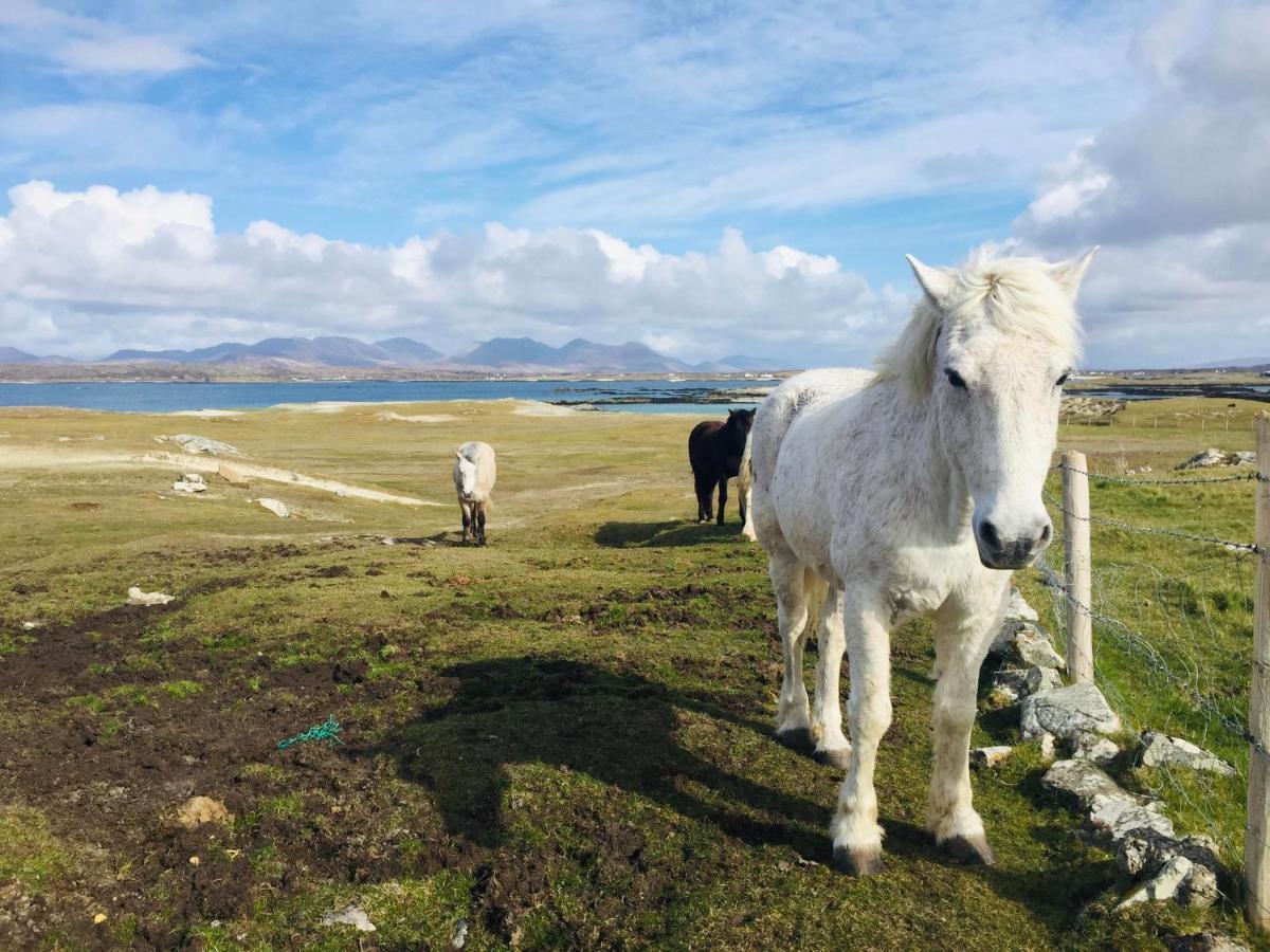 Connemara Sands Hotel & Spa Clifden Exteriör bild